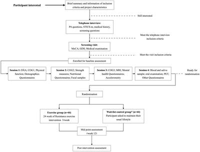 Active Gains in brain Using Exercise During Aging (AGUEDA): protocol for a randomized controlled trial